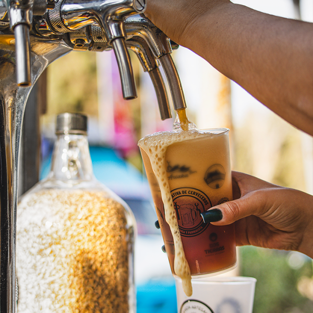 cerveza_artesanal_arica